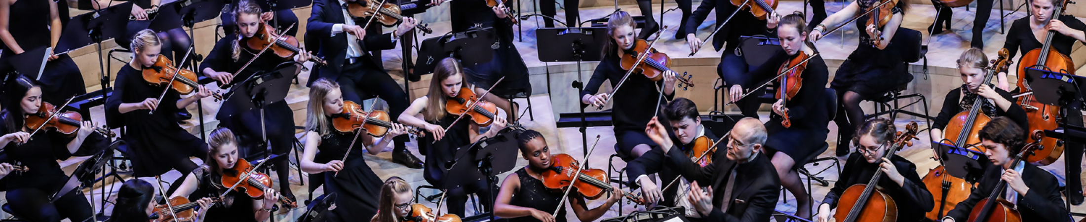 Felix Mendelssohn Jugendorchester