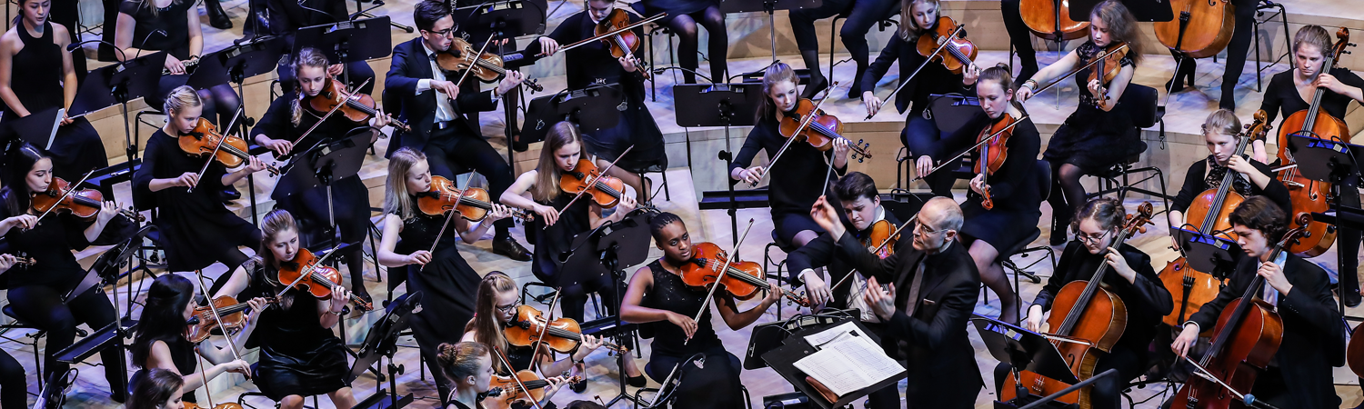 Bildauschnitt mit Felix Mendelssohn Jugendorchester