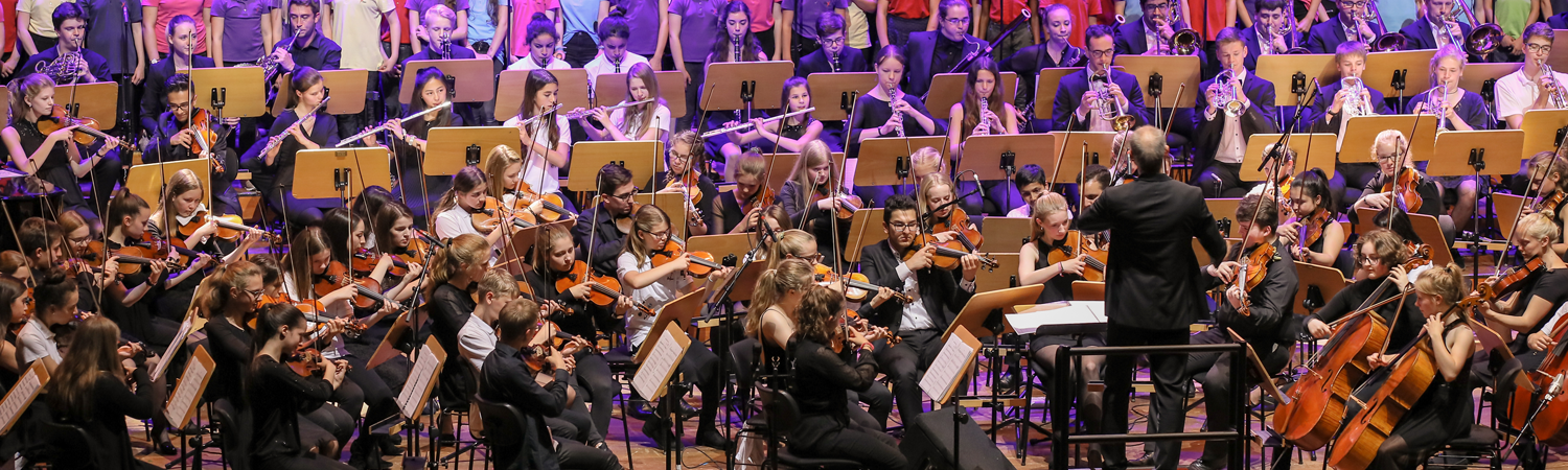 Bildauschnitt mit Felix Mendelssohn Jugendorchester